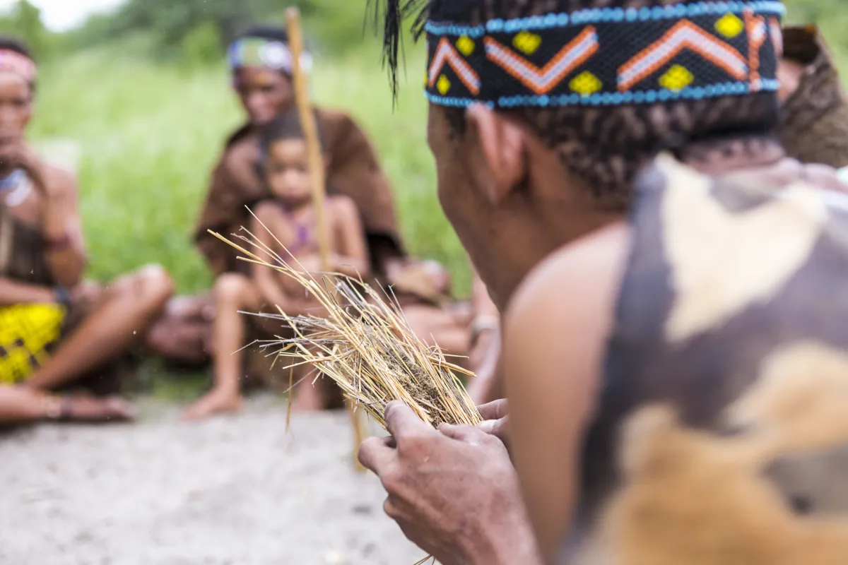 Indigenous community knowledge sharing and mentorship